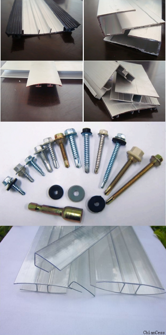 ꖹ���������İ��b���