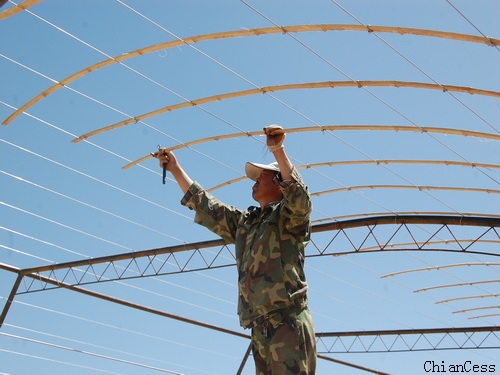 ꖹ����ҽ��O�F��