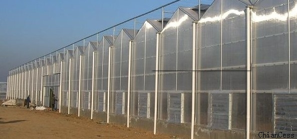 8mmꖹ�����ڜ��Ҳɹ��?sh��)�չʾ�D