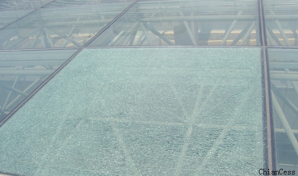 ������ɹ���Ɖĵ�����