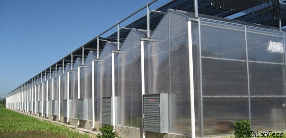 �r����õ�ꖹ�����