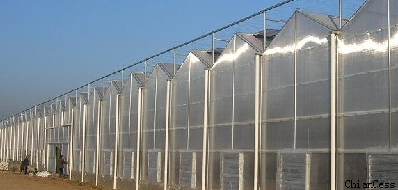 ����ꖹ�����ܜ���չʾ�D