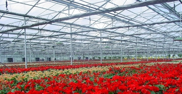 ꖹ����ҹ��̰���չʾʾ��D