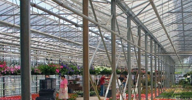 �|����Խ������PCꖹ�����չʾ�D