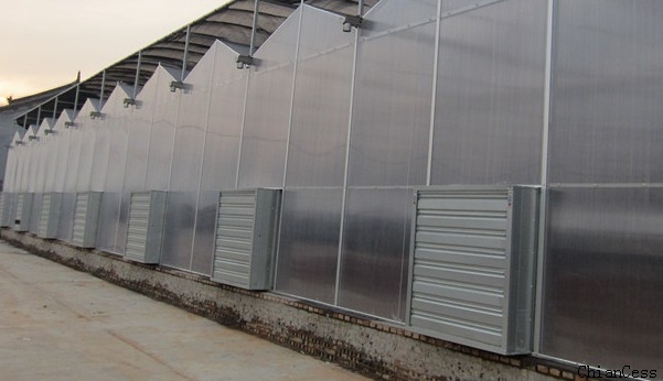 Ҏģ����ꖹ����pc�����չʾ�D