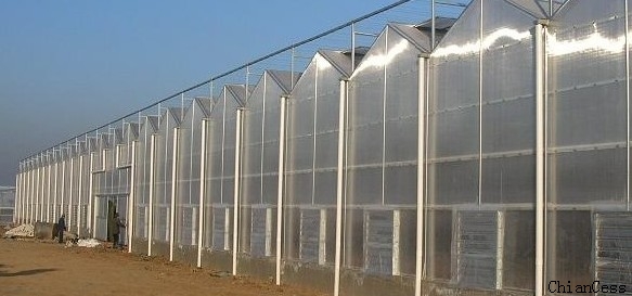 ����ɽ�|ʹ��ʮ�겻�l�S����ꖹ��չʾ�D